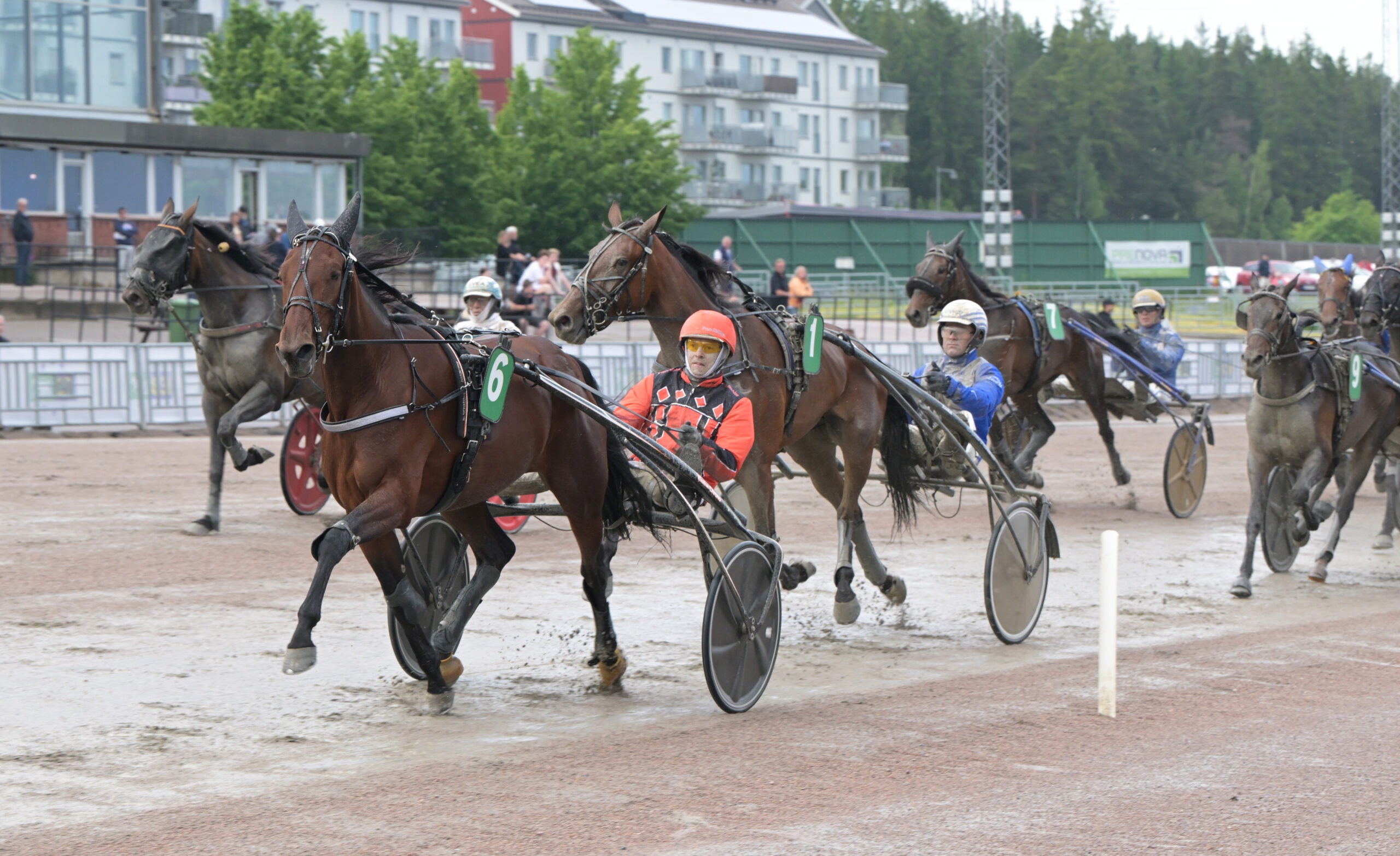Foto: Lars Jakobsson, TR Bild