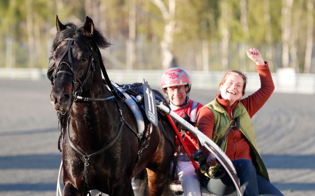 Månprinsen A.M. kommer stå över SM i år. Foto: ALN