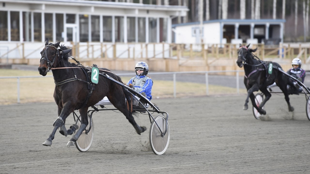 Malkin vid en tidigare seger. Foto: Christer Norin, ALN