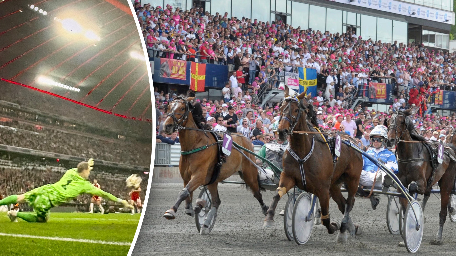 Elitloppet 2025 publik