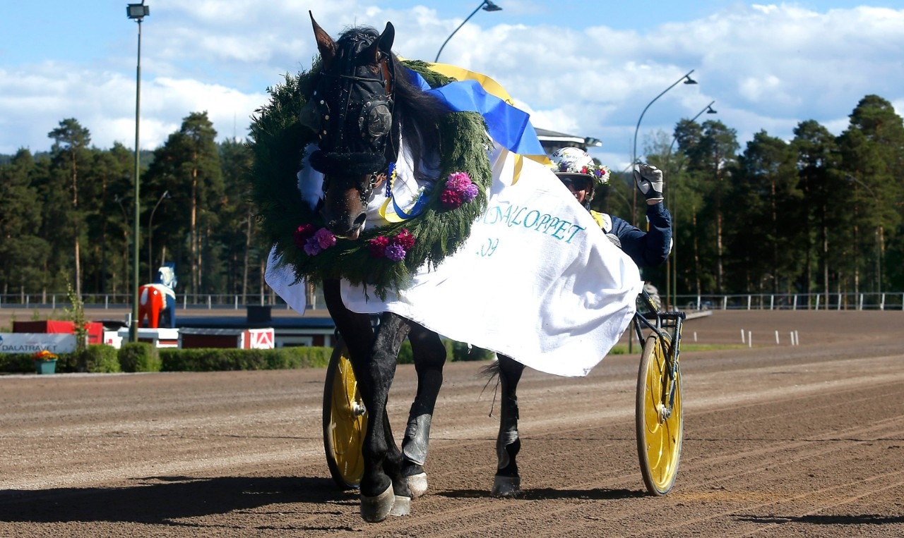 Ingen start i Prix de Belgique för Milligan's School