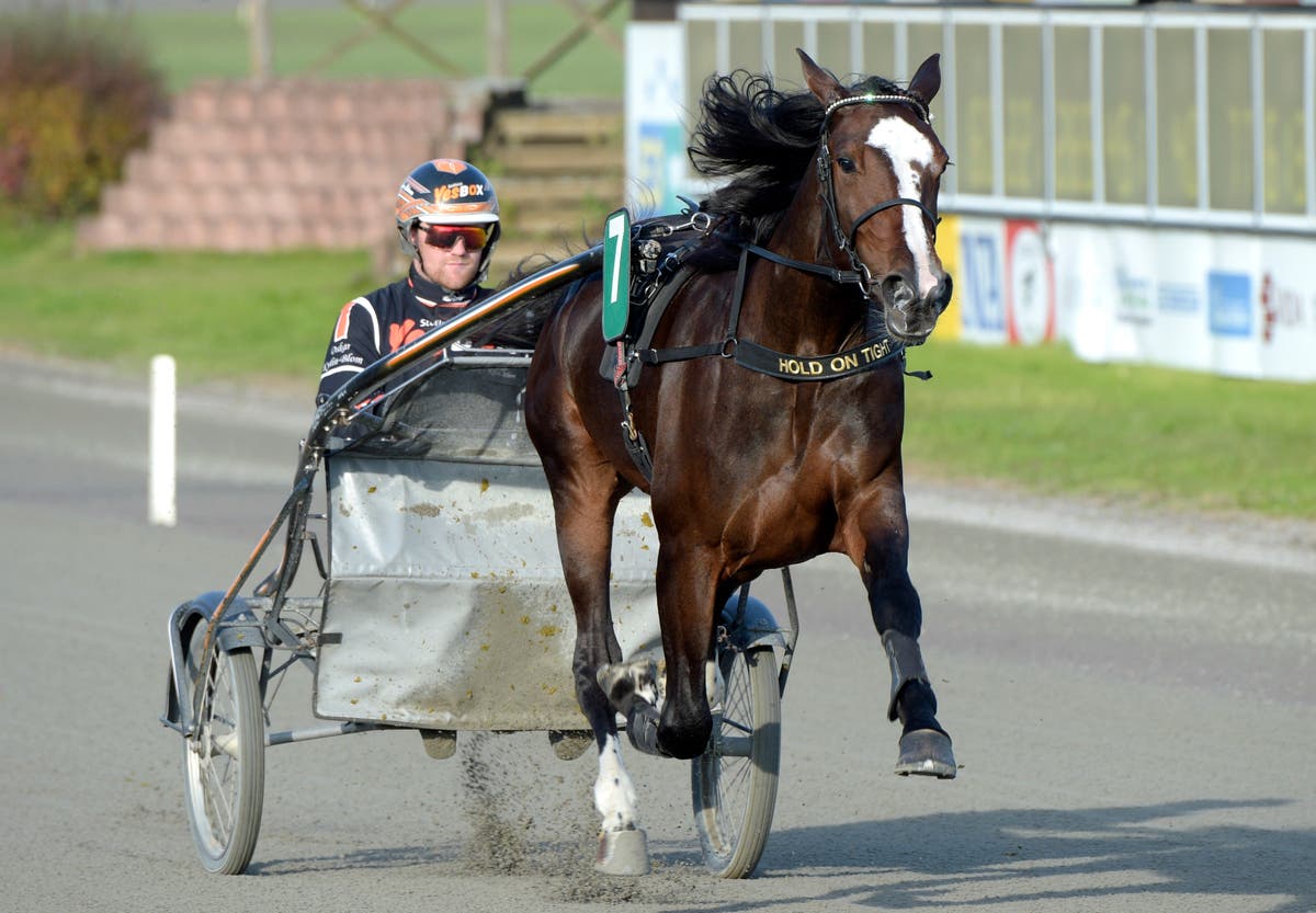 Oskar Kylin Blom Långvagn
