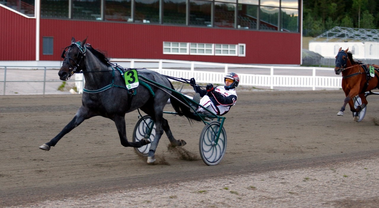 Antonio Tabac grejade storsegern - tog hem Norrbottens Stora Pris från spets. Foto: Hanold, ALN