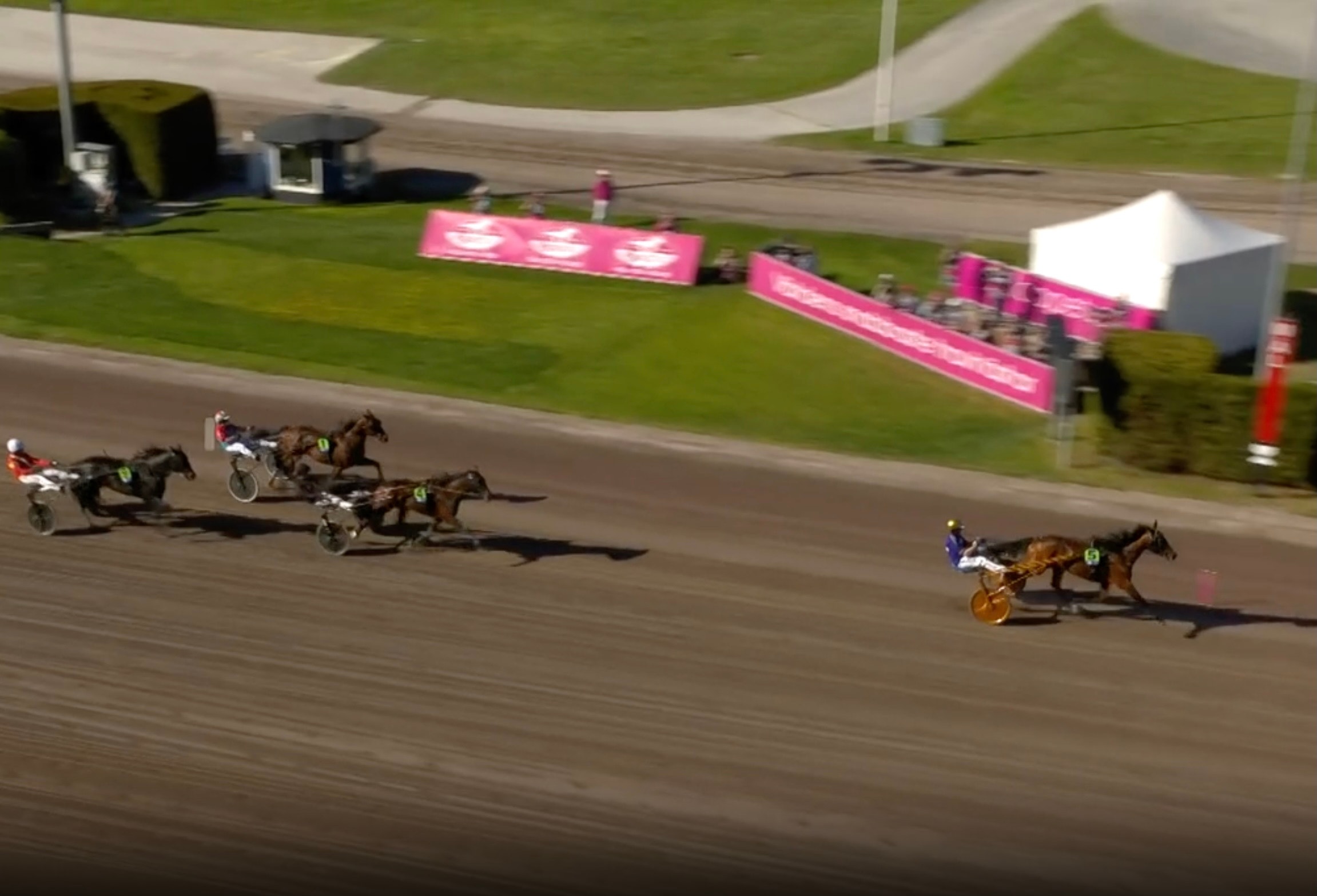 Travlopp på en sandbana med flera hästar och vagnar i rörelse. Rosa reklamskyltar syns längs banan.
