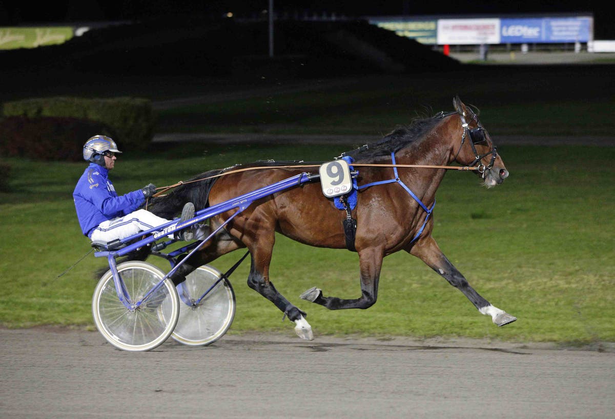 (49869) ALN Pressbild