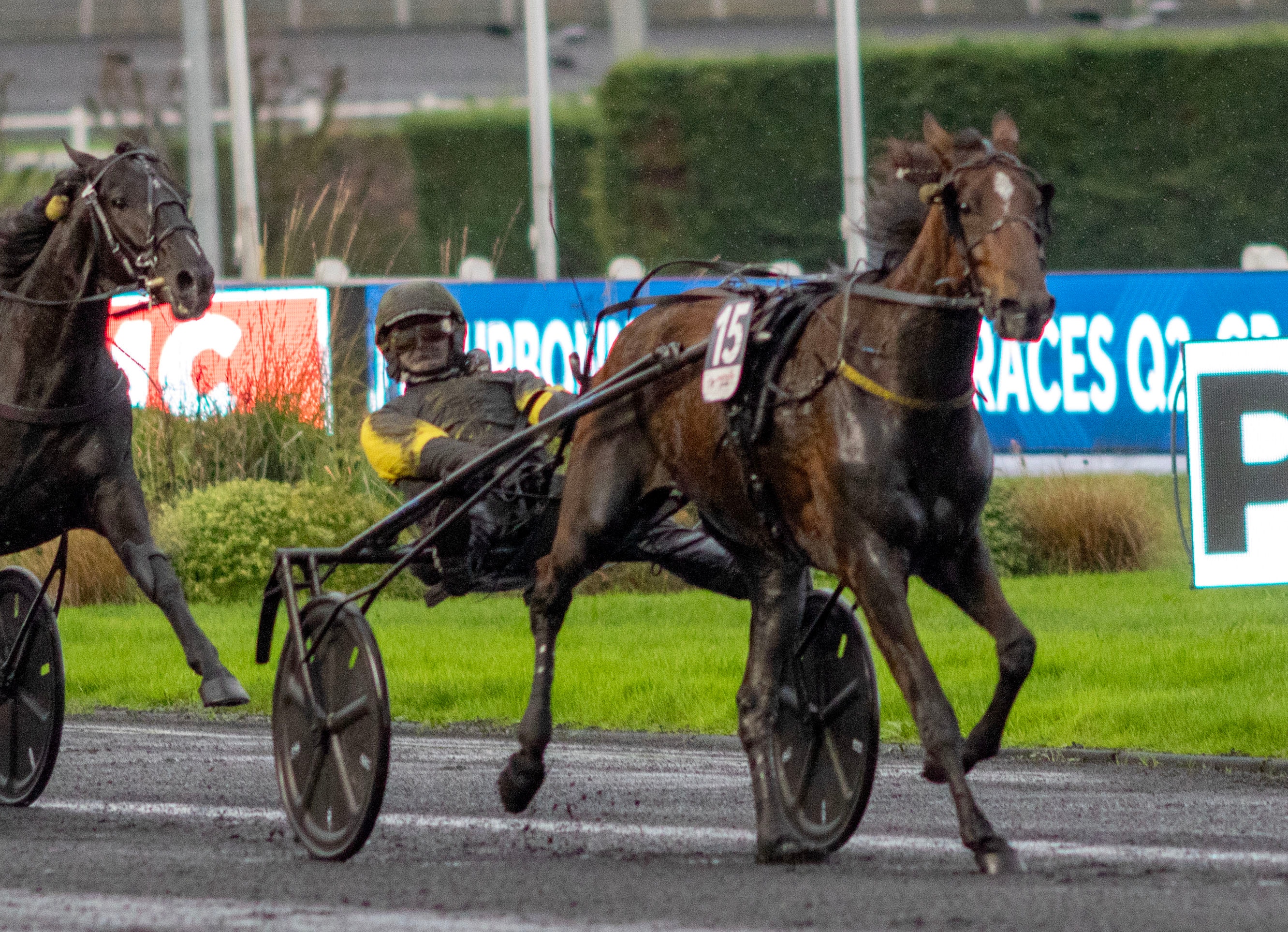 Foto: KRISTOFER SANDBERG