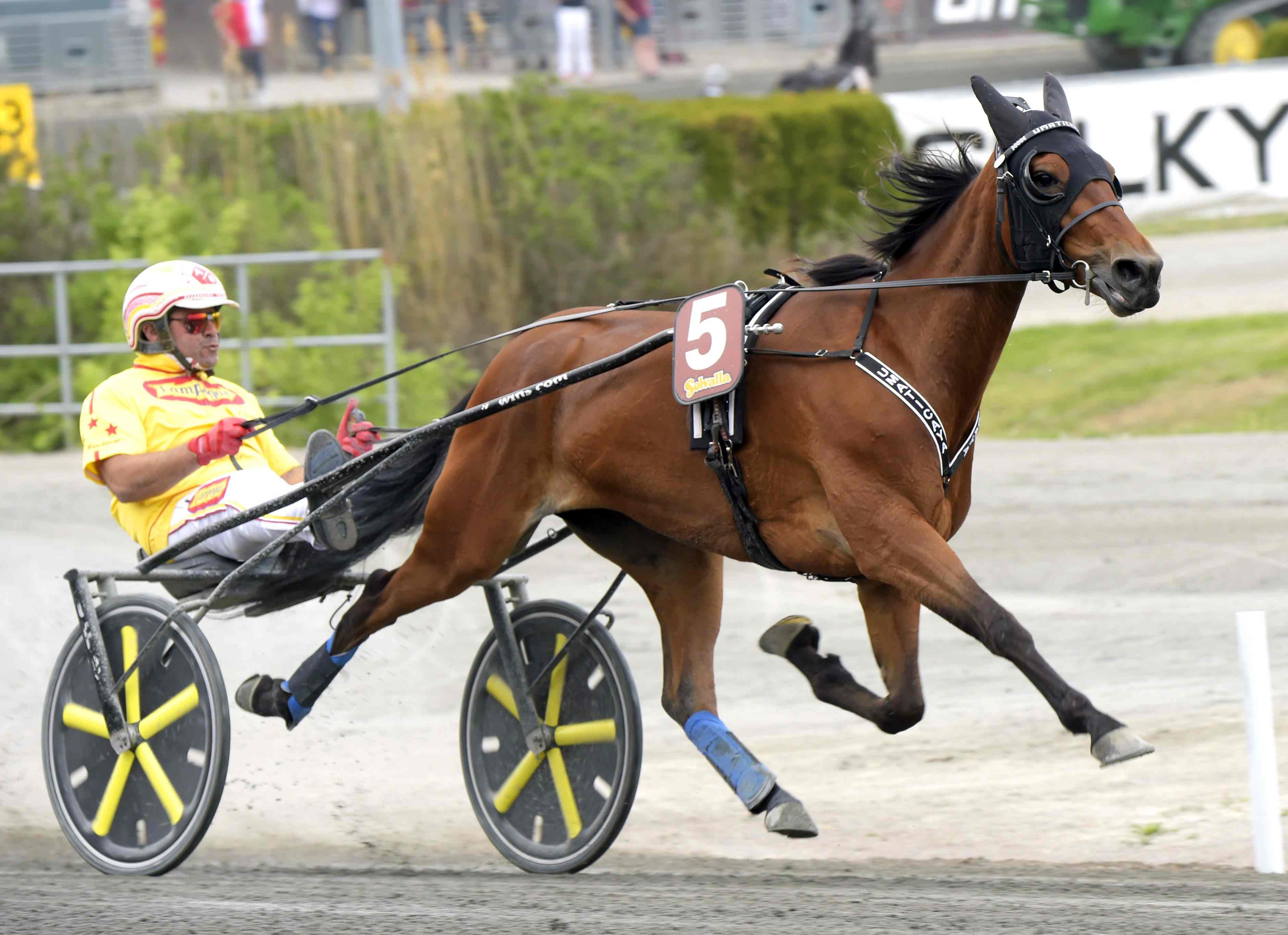 Fin sport i första testet till Jubileumspokalen
