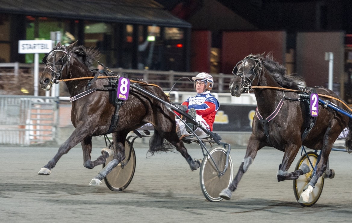 Solvalla/Åby 16 december: Plus-häst i ny regi och jag lirar!