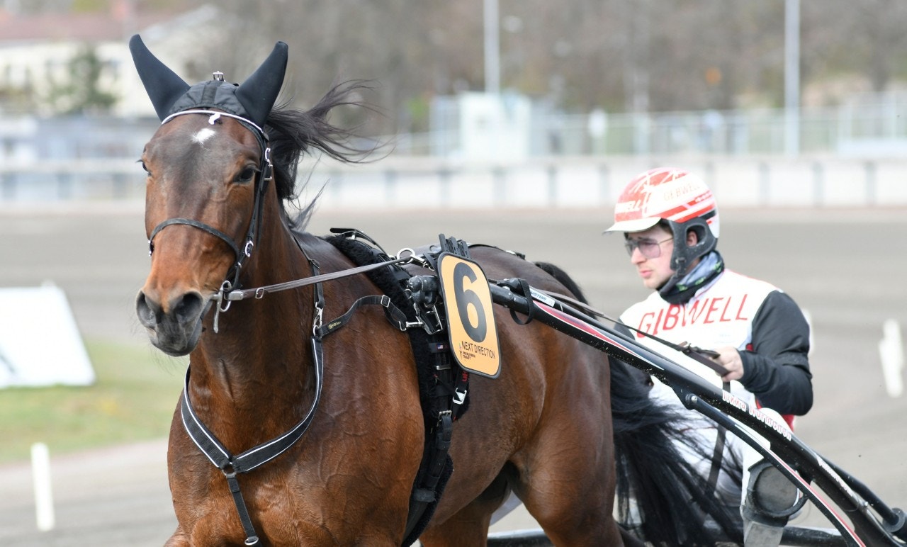 Next Direction flög fram i Mikkeli - och vann på 1.08,9. Foto: Göran Lindskog, ALN