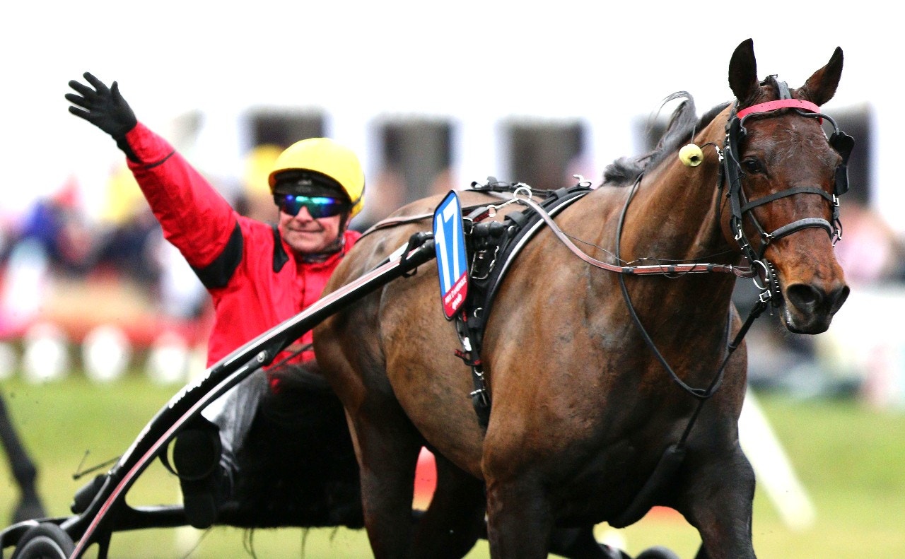 Bold Eagle blir Frankrikes vinstrikaste travare, sedan Propulsions svenska resultat strukits. Foto: Icon Sport/Bildbyrån