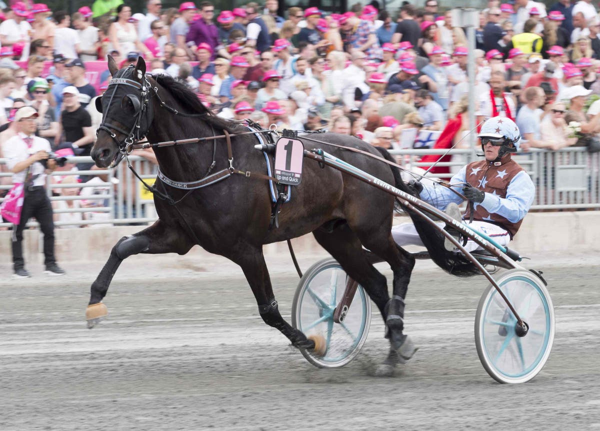 (87458) Foto: Tommy Andersson/ALN, Solvalla 20170528