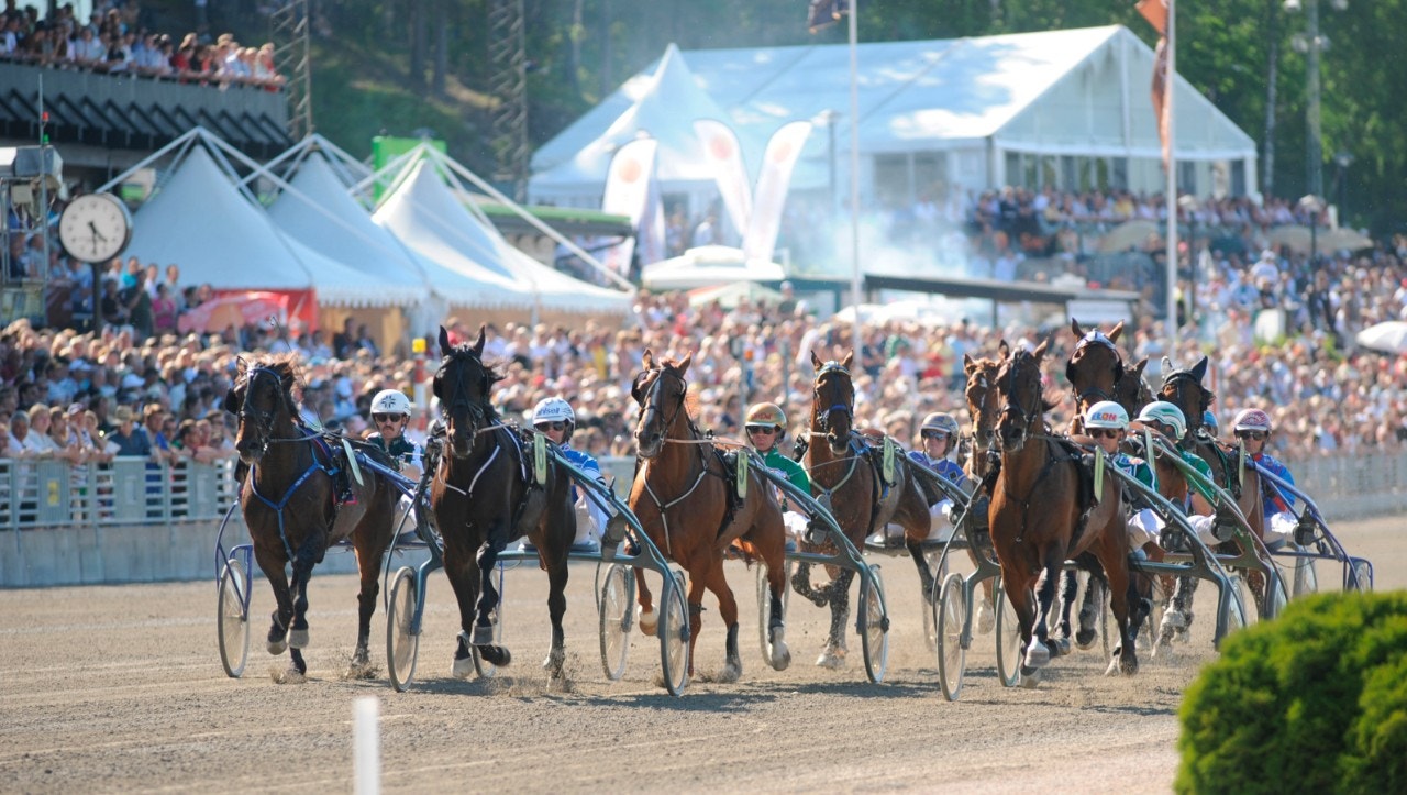 De treåriga stona får bara hälften så mycket att tävla om än killarna i Oaks-revanschen på Solvalla: Foto: Mats Hansson, ALN