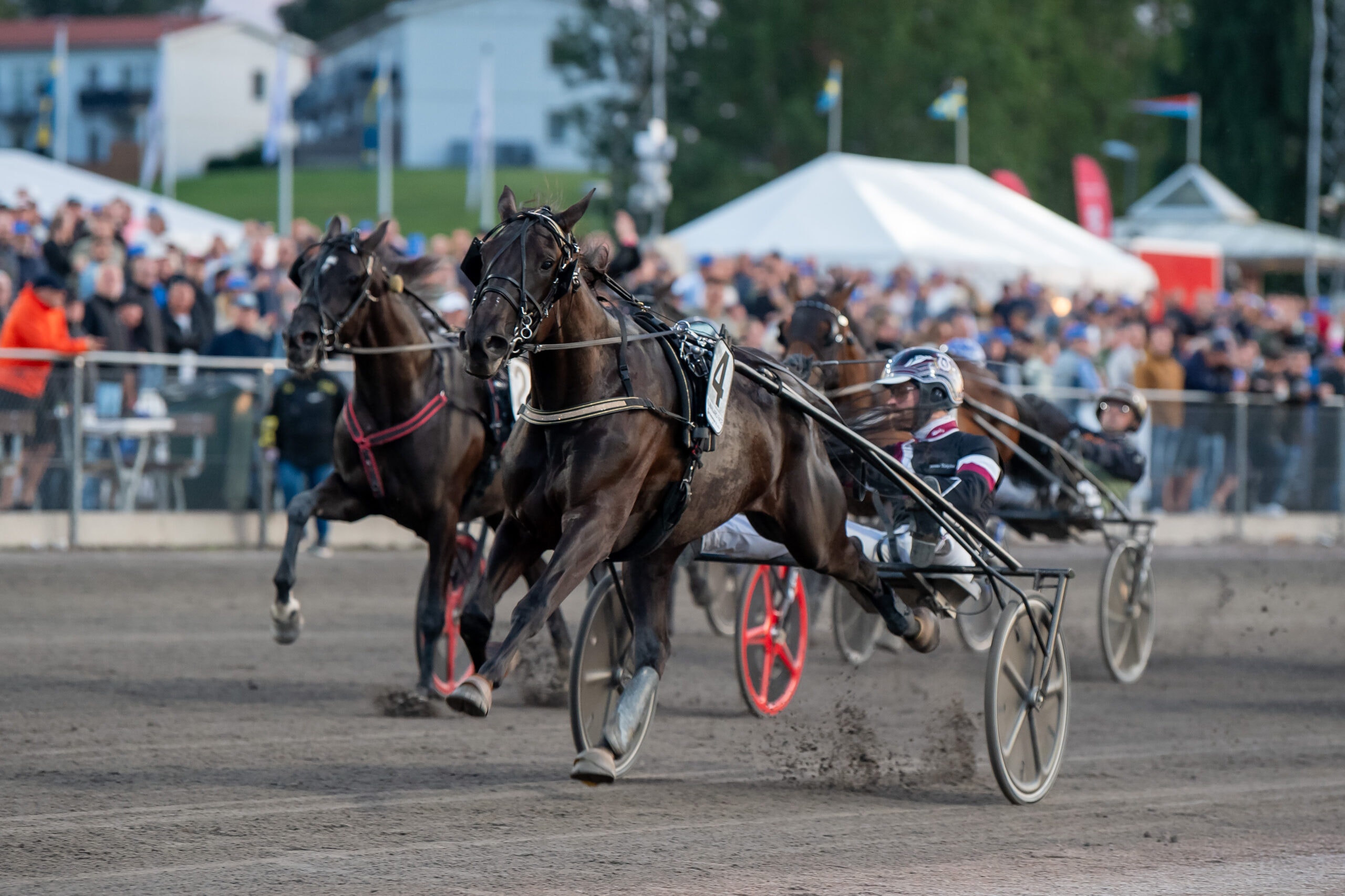 Foto: Mikael Rosenquist, TR Bild
