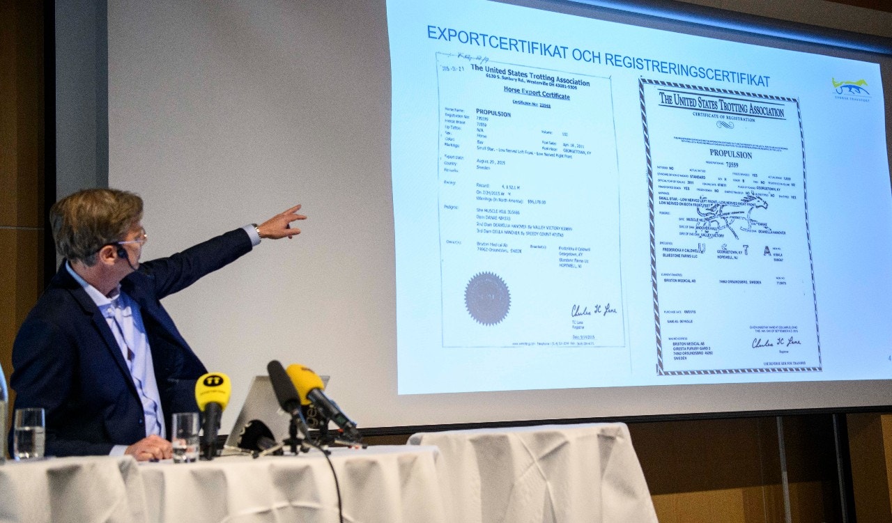 Finns det fler nervsnittade hästar?