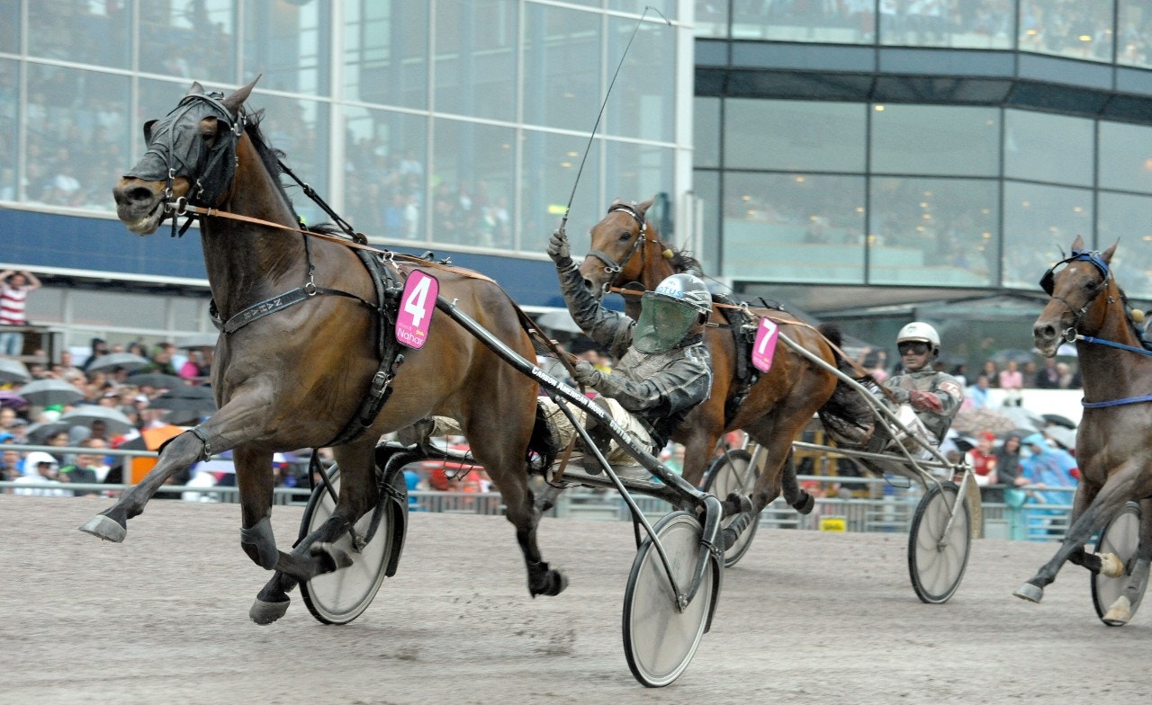Nahar - den senaste svenskfödda Elitlopps-vinnaren. Foto: Micke Gustafsson, ALN