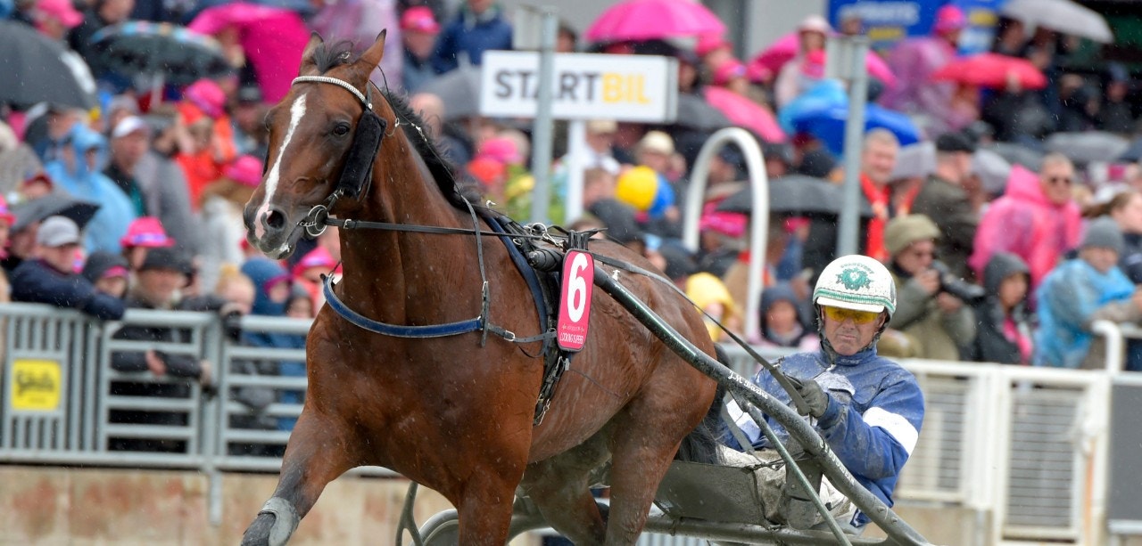 Looking Superb ska testas i fransk monté. Foto: Martin Langels, ALN