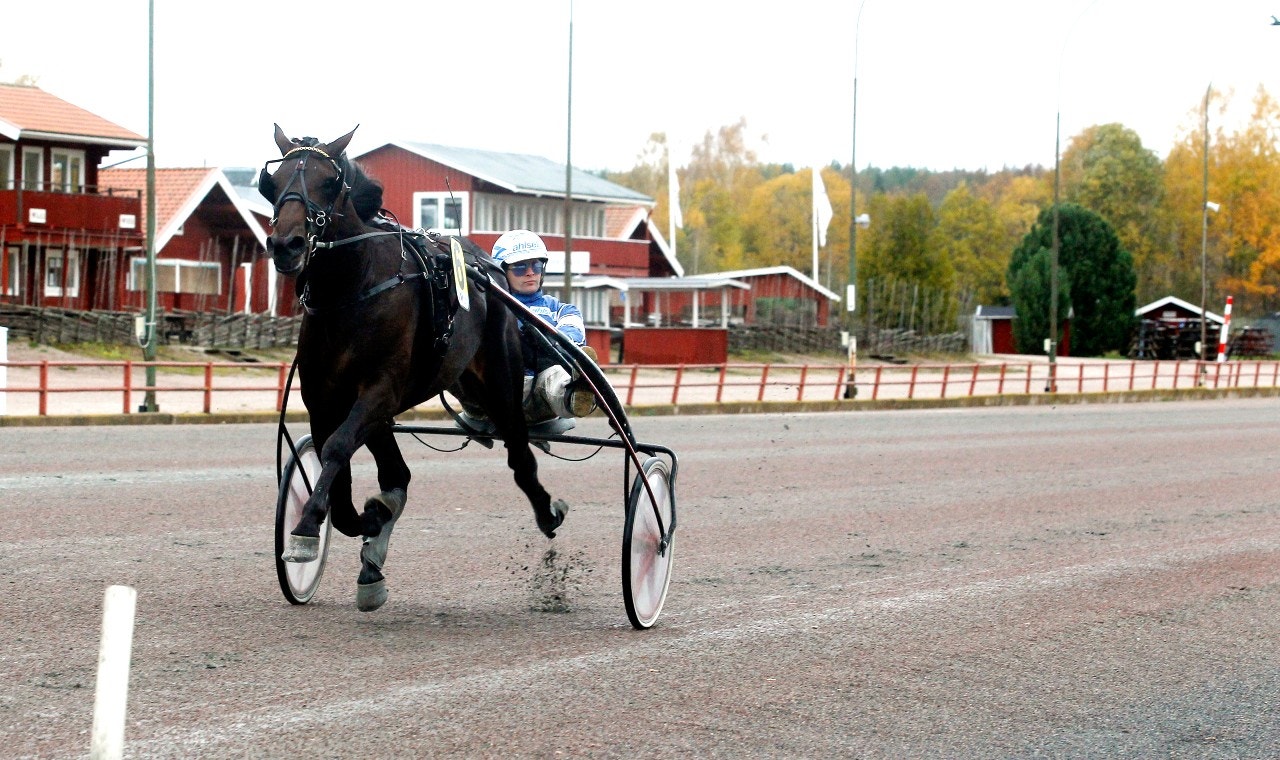 Jägersro/Solvalla 4 november: Game set match med bästa vinnaren!