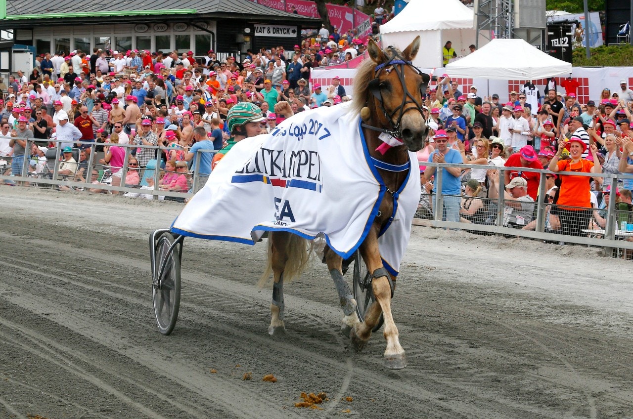 2017 års Elitkampen-vinnare Polara plockade hem Valackfursten. Foto: ALN