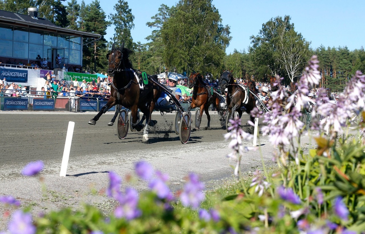 Landets måldomarnämnder bedömer drivningssituationer olika. Genrefoto: Hanold, ALN