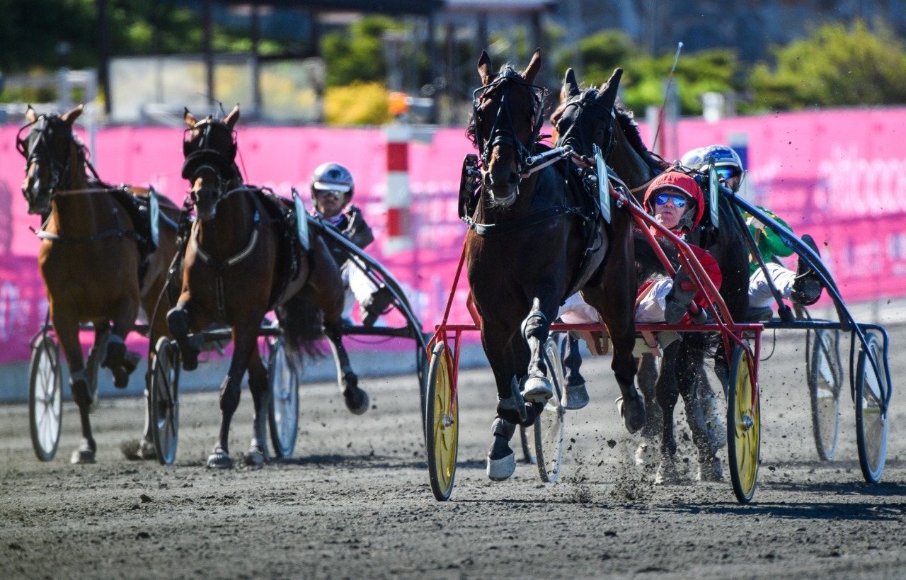 Tar Hell Bent For Am upp sin segerrad igen i E3-finalen? Foto: Simon Hastegård, Bildbyrån