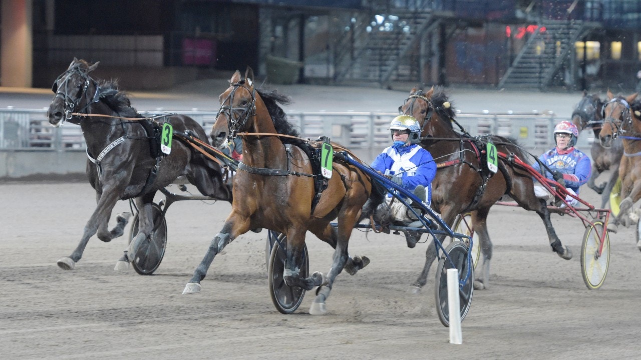 Ecurie D. tog säkert hem Dartster F:s lopp - och travade sig direkt in i Elitloppet. Foto: Leif Norberg, ALN