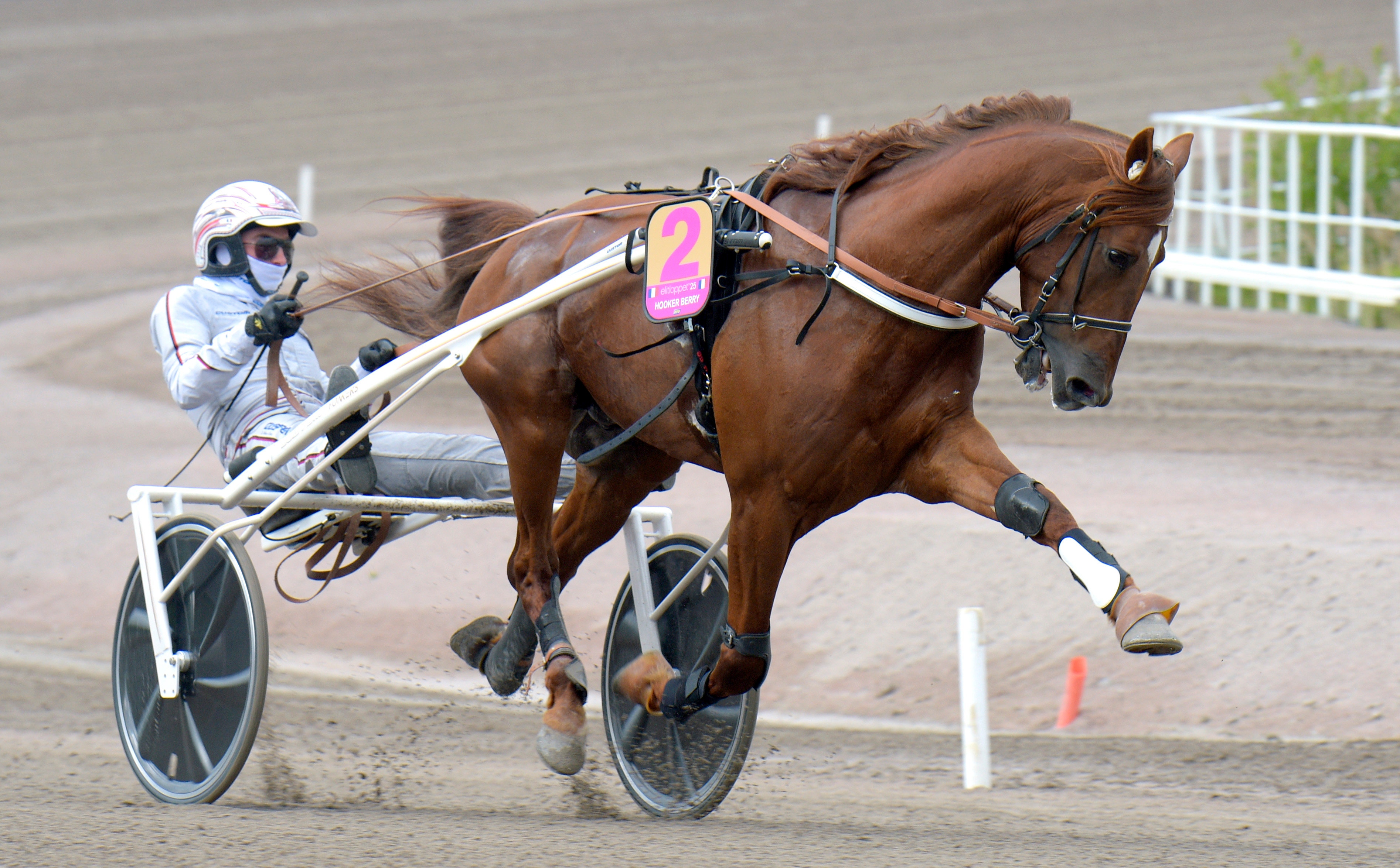 Prix d’Amérique-vinnaren till Yonkers