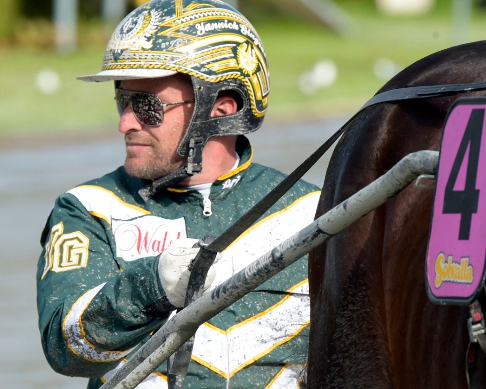 Yannick Gingras kör Bold Eagle i Kanada?