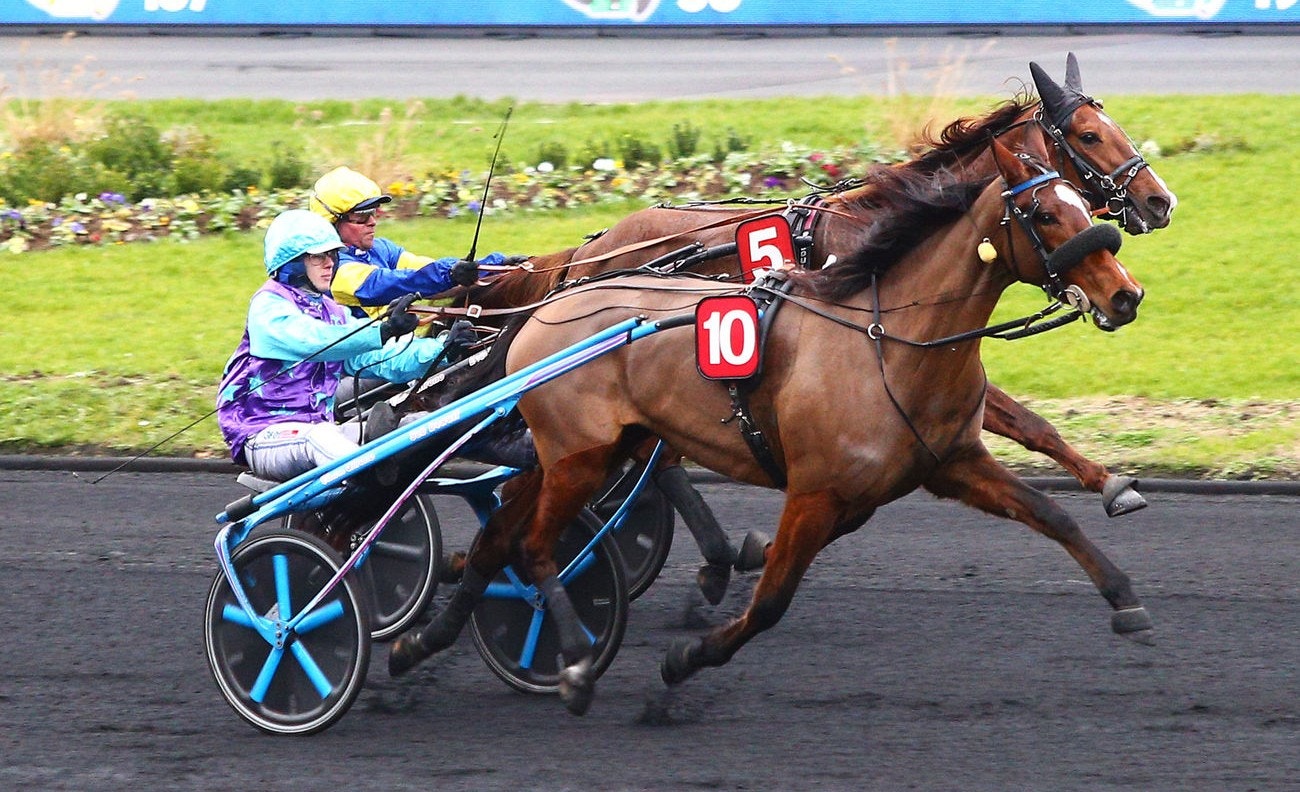 Green Grass vid en tidigare seger. Foto: Gerard Forni, Scoop Dyga