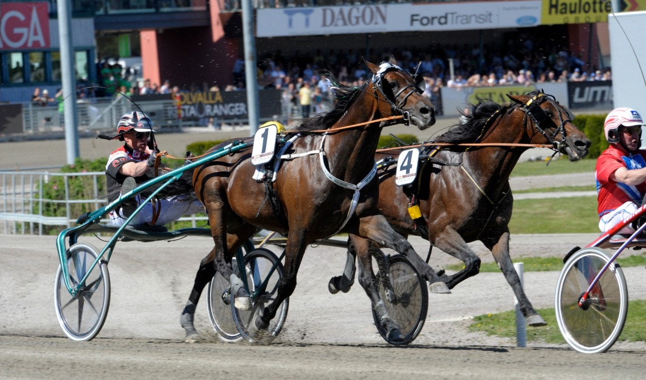 Triton Sund in action i Elitloppet. Foto: Martin Langels, ALN