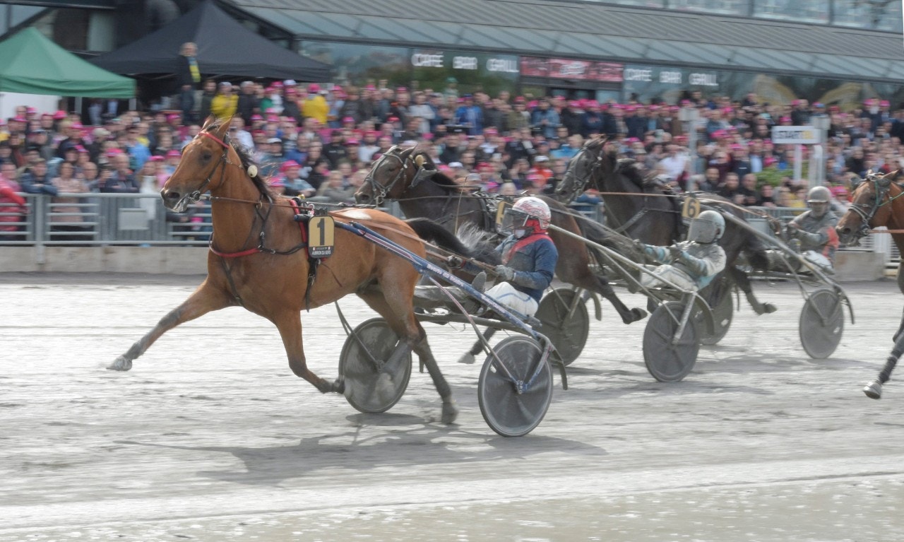 Aubrion du Gers ledde varje meter av Elitloppets andra försök. Foto: Leif Norberg, ALN