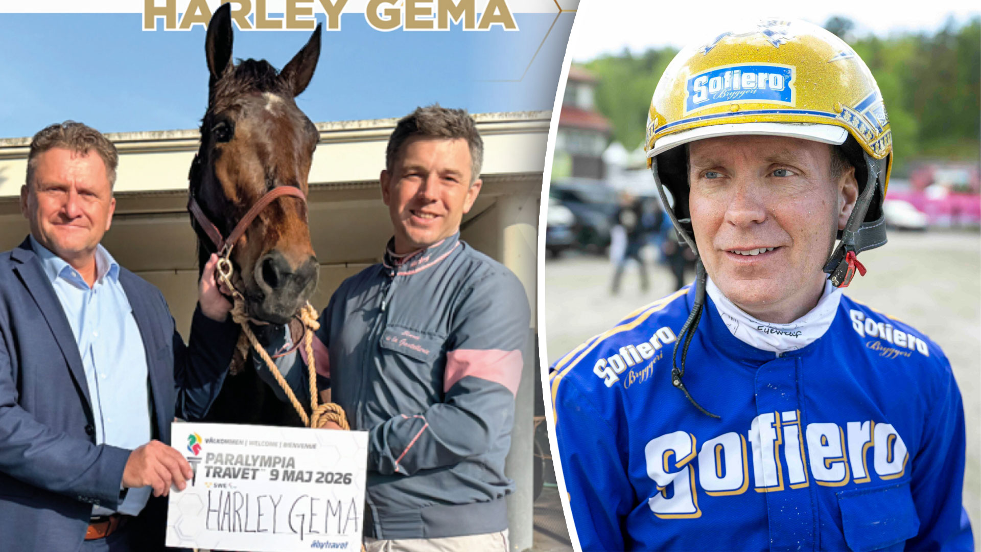 Collage med två bilder: Till vänster två män tillsammans med en brun häst vid namn Harley Gema. Till höger porträtt av en jockey i blå racing-outfit med Gofiero-logotyp.