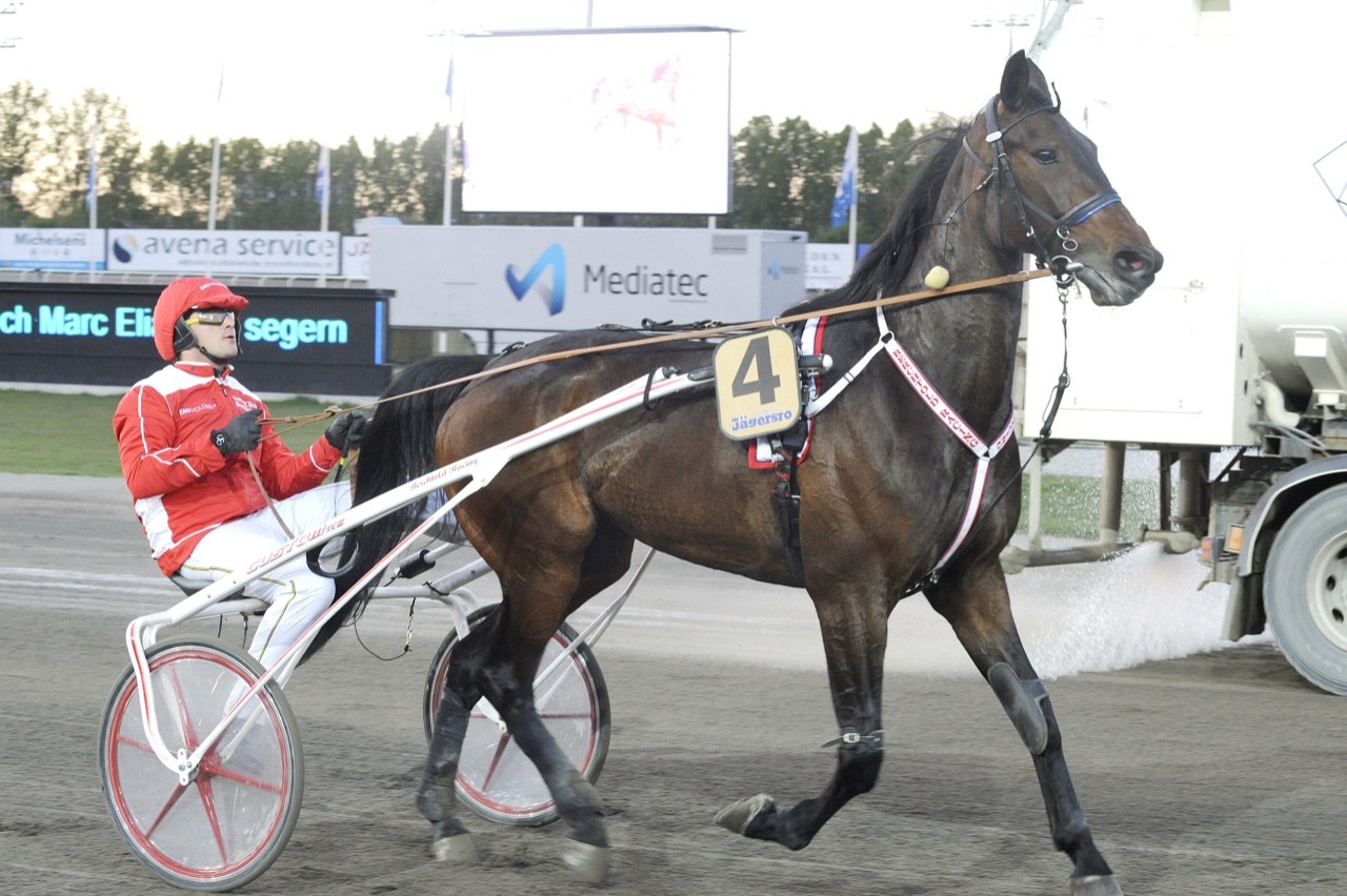 Alegra B. vann Breeders Crown i Berlin under lördagen - Foto: ALN