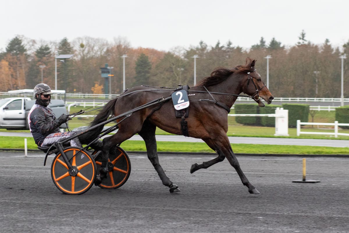 Fredrik Wallin Immortal Doc