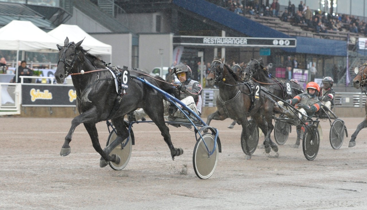 Lewis Ale vid seger i uttagningen till Grand Prix de l'UET på Solvalla i höstas. Foto: Leif Norberg, ALN