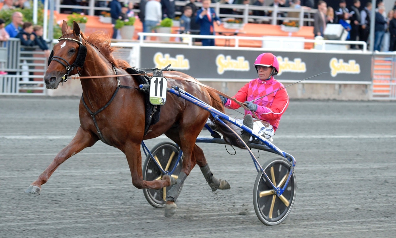 Dreammoko laddar mot andra raka Silverörnen - Foto: ALN