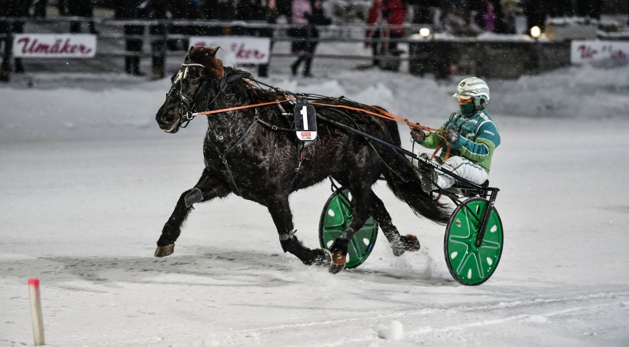 Segermaskinen Silver Jossan var överlägsen i Ess Express Minne. Foto: ALN