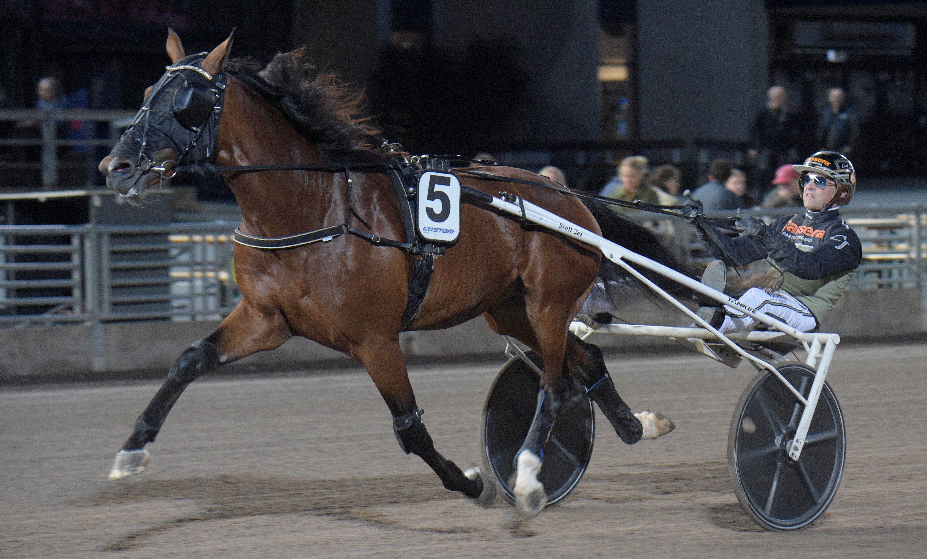 En brun travhäst i full fart drar en sulky med en kusk i färgglada kläder och hjälm på en travbana. Publik syns i bakgrunden. Foto: