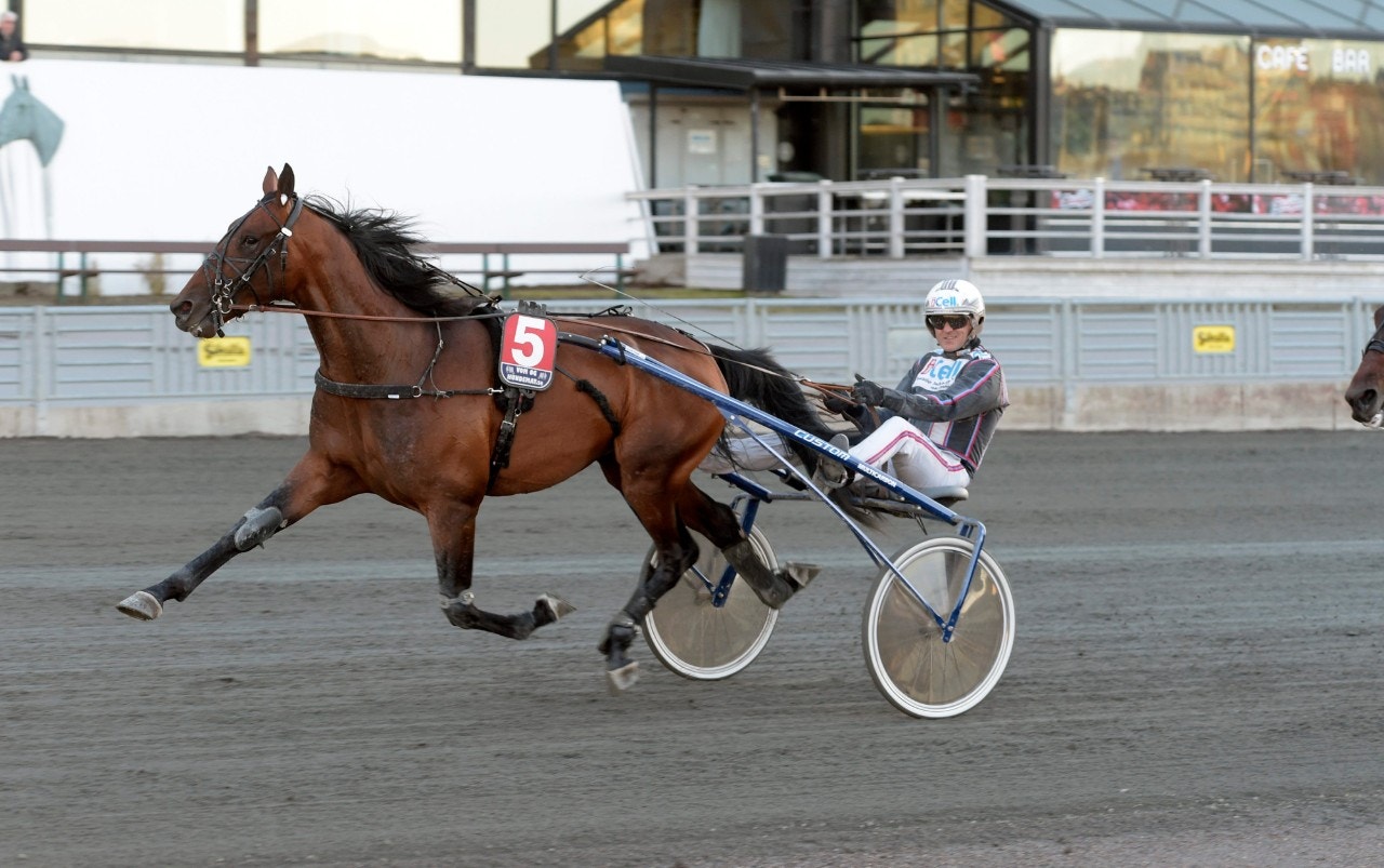 Ecurie D. och Ulf Ohlsson på Solvalla 17/4 - Foto: ALN