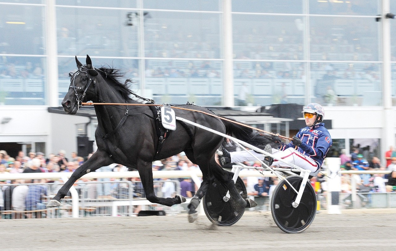 Tips Åby 10 augusti: Nu är det läge för Patent Leather