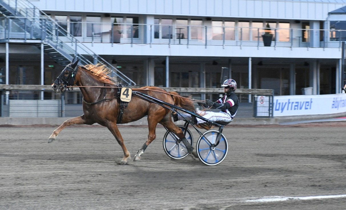 Solvalla/Åby: Kolgjini i farten när skrällarna duggade tätt