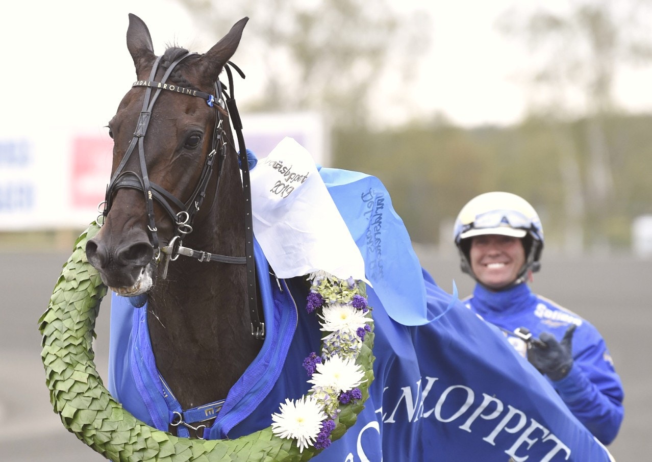 Varit borta ett år - Nadal Broline kvalade på Solvalla