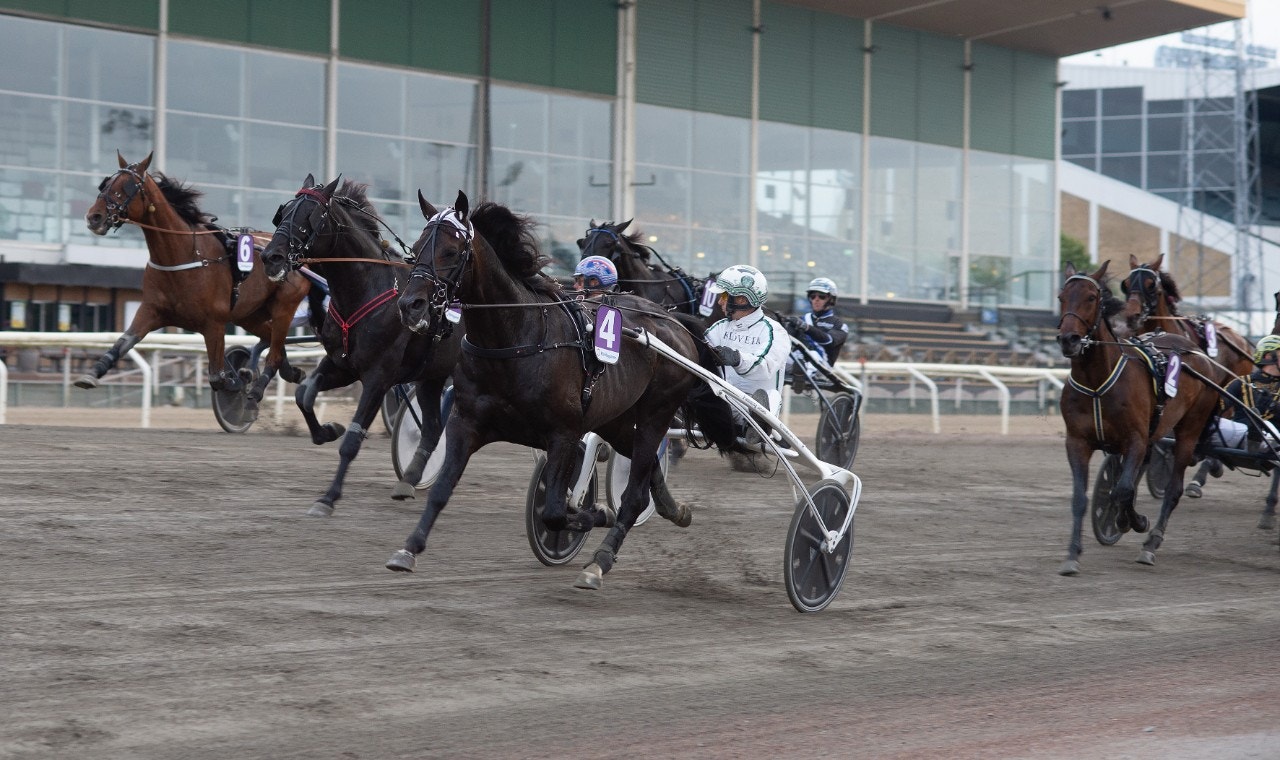 Foto: Mikael Rosenquist, ALN