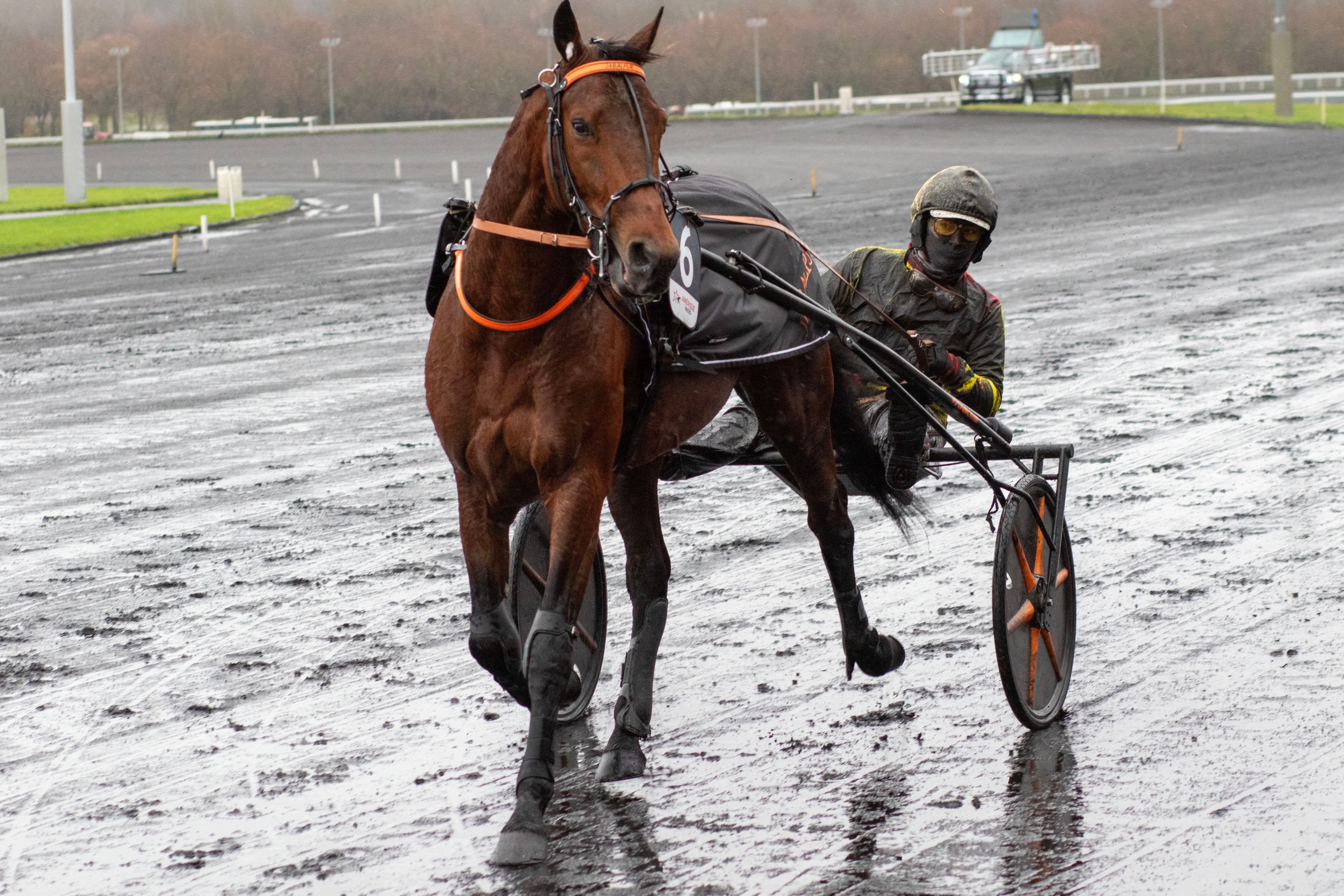 Här är nästa franska häst som är klar för Elitloppet