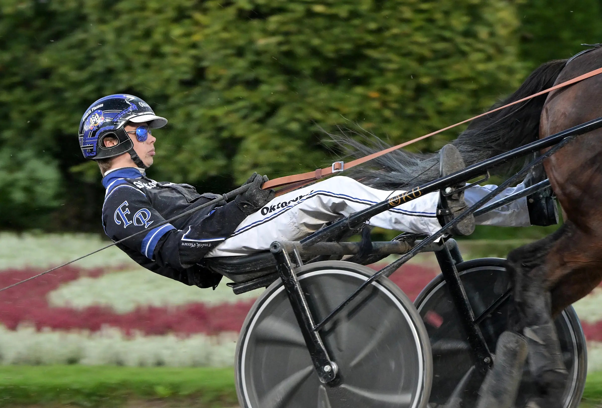 Fredrik Plassen kör sulky i trotting. En man i blå och svart tävlingsutrustning sitter i en lätt vagn dragen av en brun häst på en travbana.