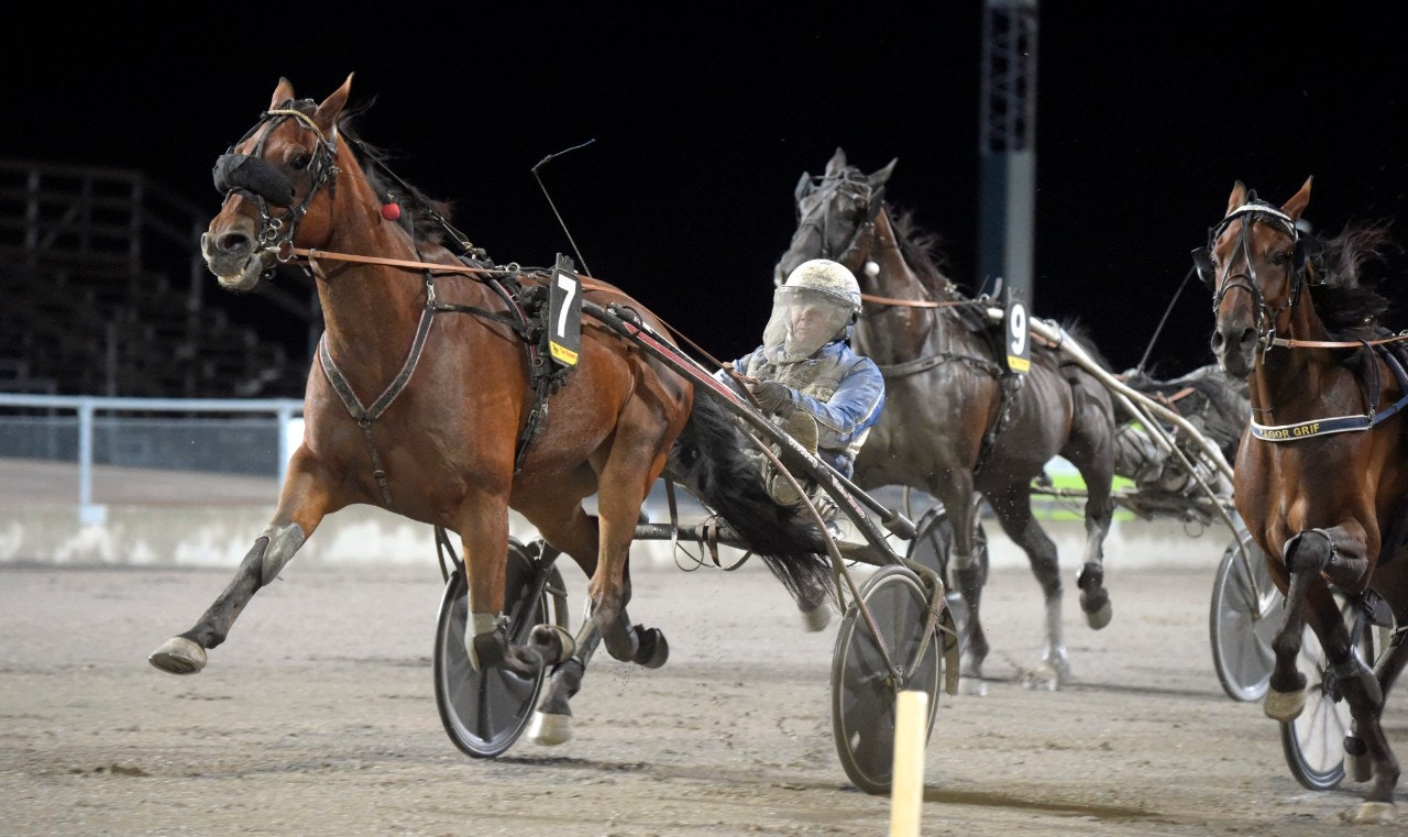 Åby/Solvalla 23 oktober: Winner Bac vinner
