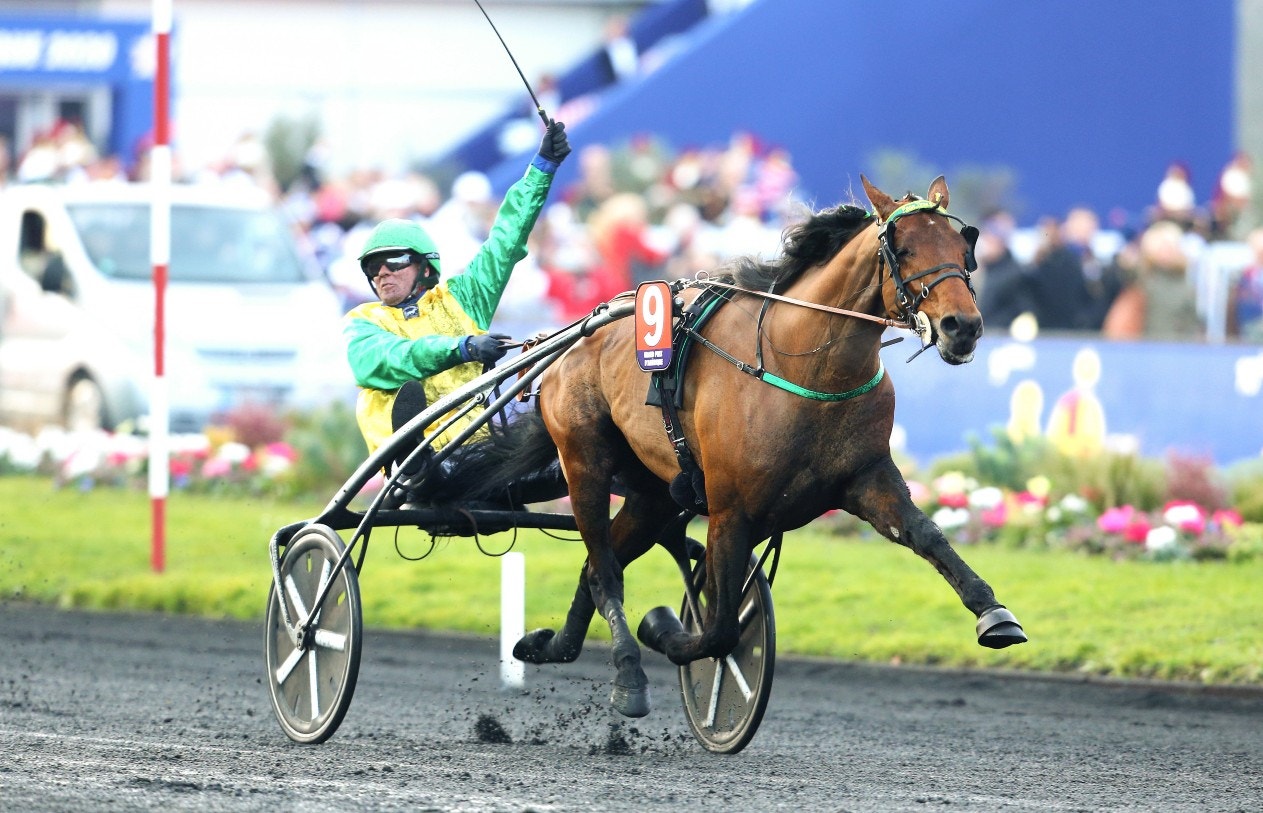 Face Time Bourbon finns med i årets Gran Premio della Lotteria. Foto: Elliot Chouraqui, Scoop Dyga/ALN
