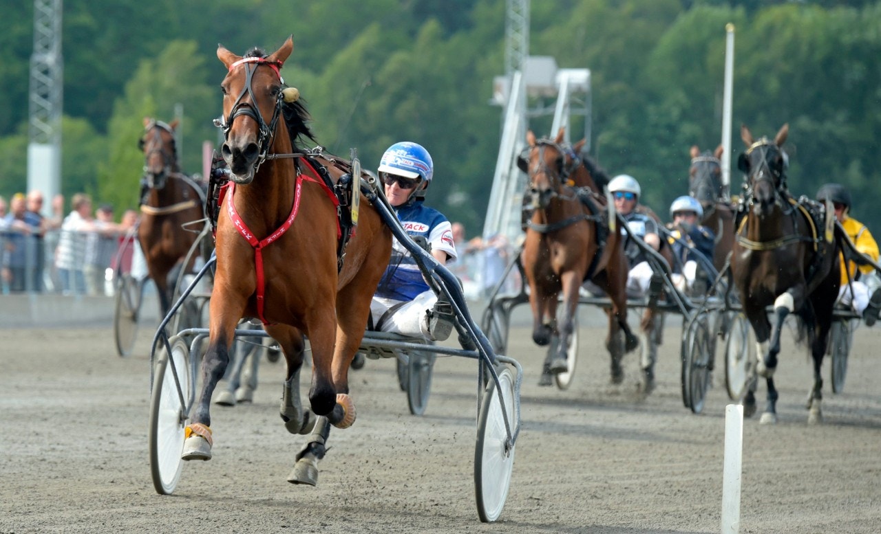 Tack för sällskapet, sa Mascate Match när hon bara lämnade övriga i E3 för ston. Foto: Martin Langels, ALN