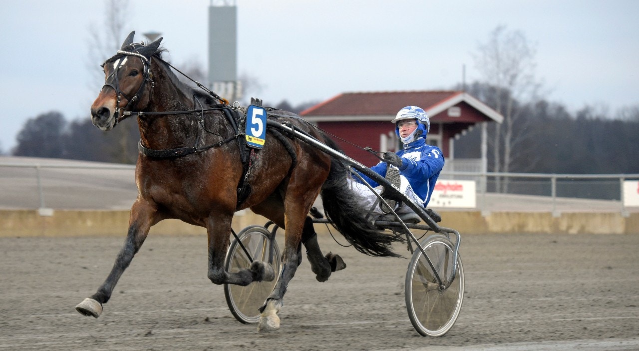 Buska Blyg imponerar - nu kom sjätte raka