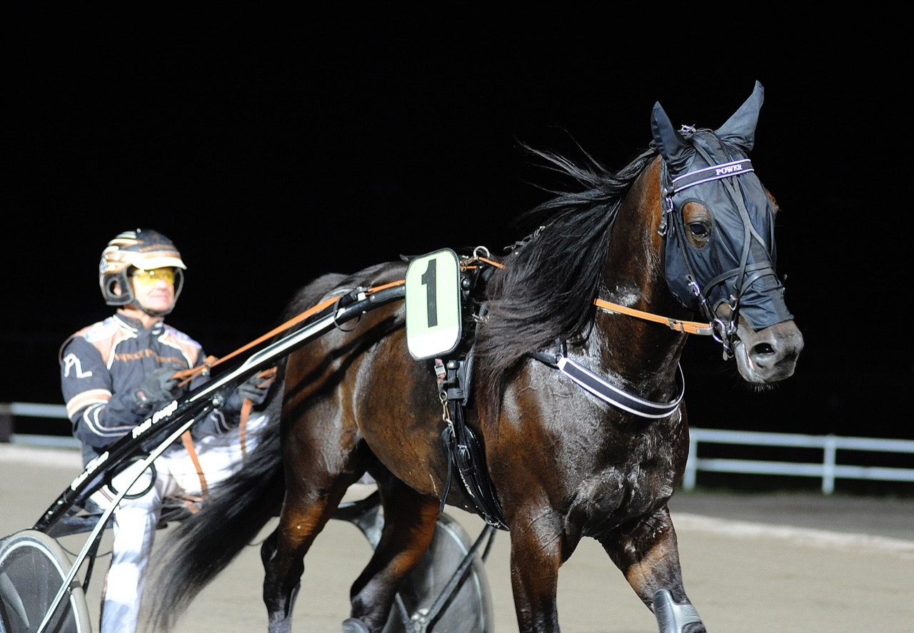 Berghs sköna Derbykval