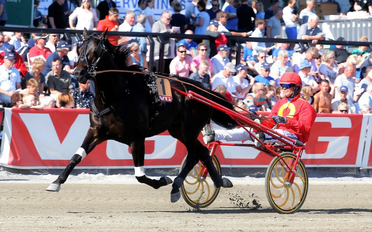 Cruzado dela Noche ska försvara titeln i VM-loppet i oktober. Foto: ALN